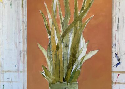 2025 - Die Sanseveria - 150 x 80 cm